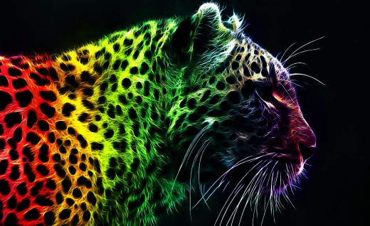653954 (a): :1920x1171